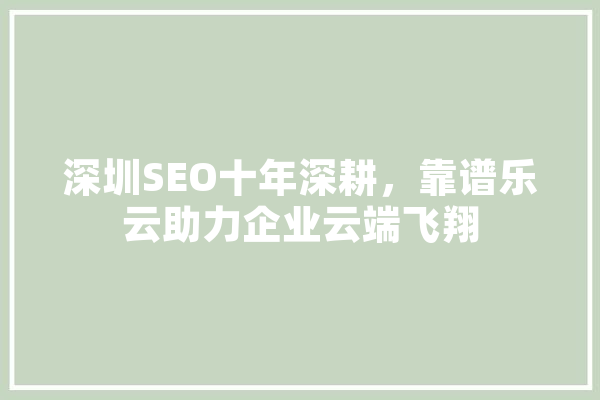 深圳SEO十年深耕，靠谱乐云助力企业云端飞翔