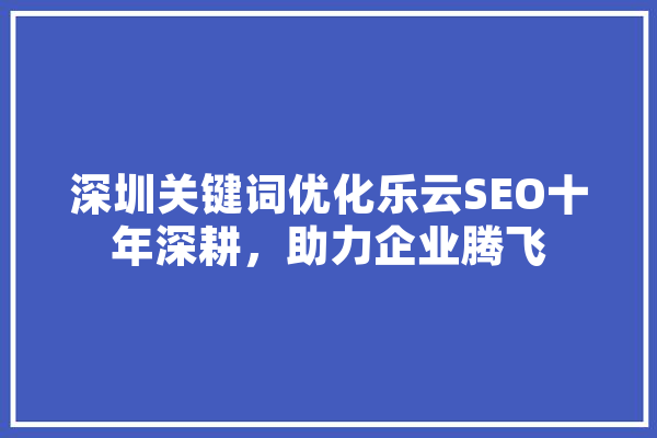 深圳关键词优化乐云SEO十年深耕，助力企业腾飞 智能助手