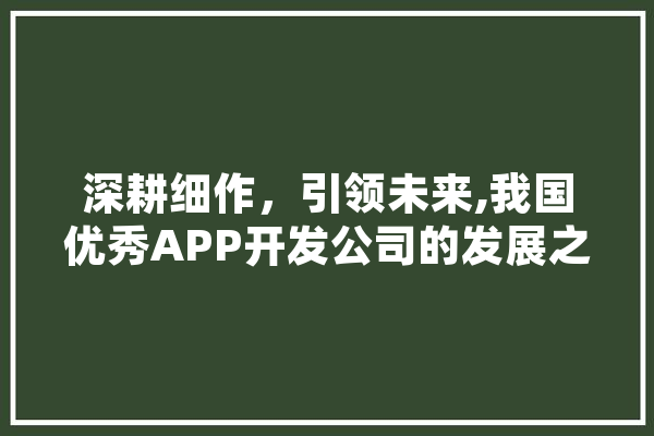 深耕细作，引领未来,我国优秀APP开发公司的发展之路 云服务
