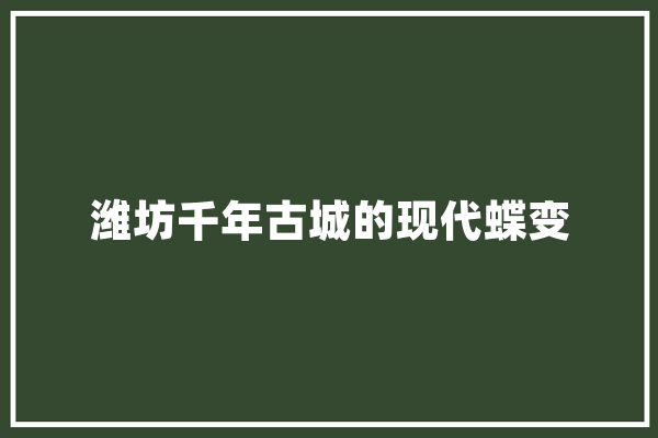 潍坊千年古城的现代蝶变 云服务
