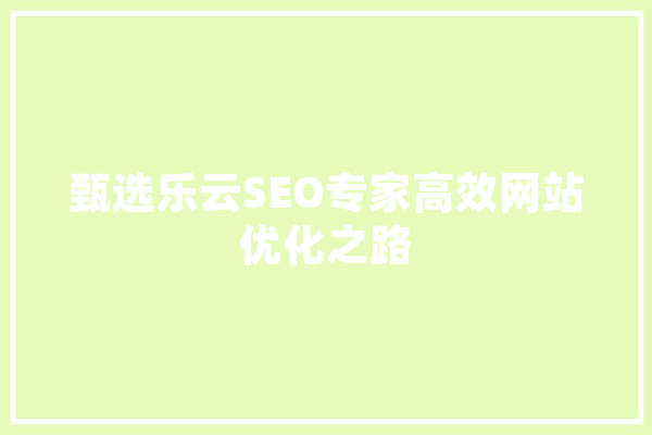 甄选乐云SEO专家高效网站优化之路 云服务