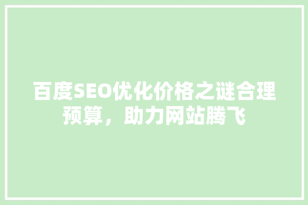 百度SEO优化价格之谜合理预算，助力网站腾飞 云服务
