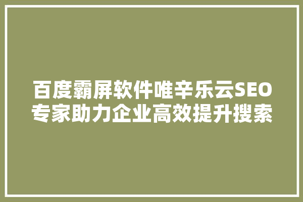 百度霸屏软件唯辛乐云SEO专家助力企业高效提升搜索引擎排名