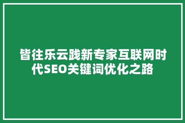皆往乐云践新专家互联网时代SEO关键词优化之路