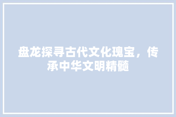 盘龙探寻古代文化瑰宝，传承中华文明精髓