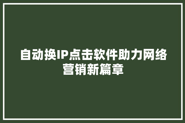 自动换IP点击软件助力网络营销新篇章