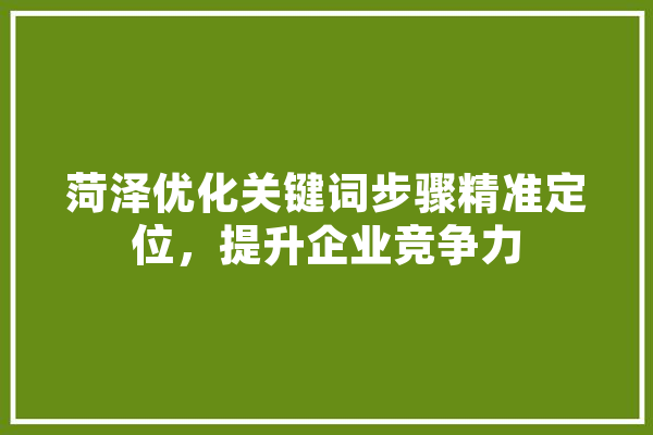 菏泽优化关键词步骤精准定位，提升企业竞争力