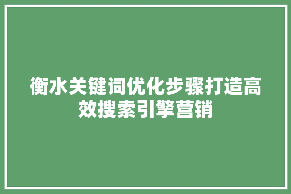衡水关键词优化步骤打造高效搜索引擎营销