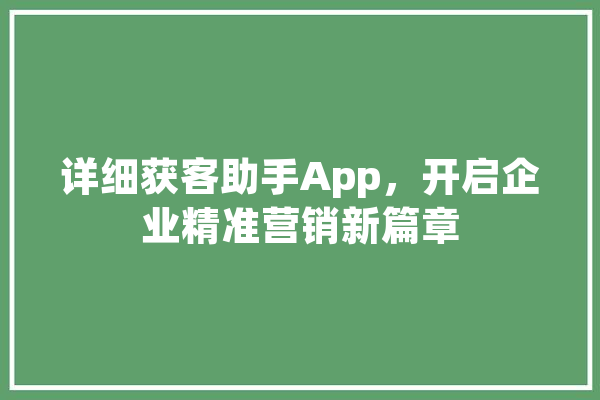 详细获客助手App，开启企业精准营销新篇章