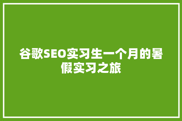 谷歌SEO实习生一个月的暑假实习之旅