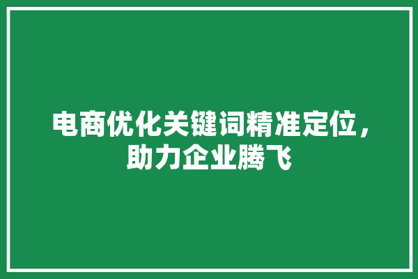 电商优化关键词精准定位，助力企业腾飞