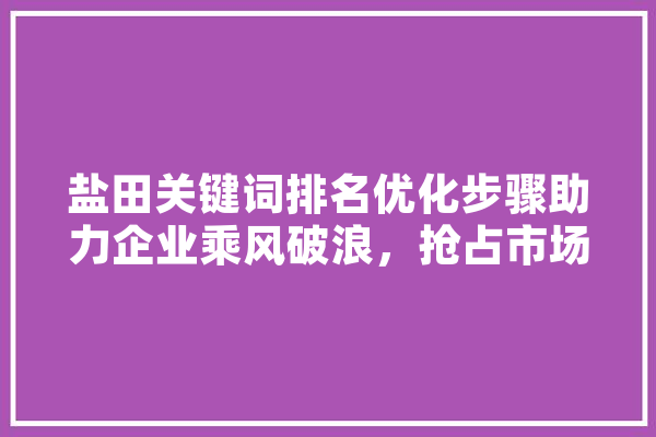 盐田关键词排名优化步骤助力企业乘风破浪，抢占市场先机