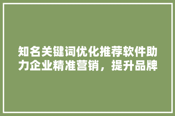 知名关键词优化推荐软件助力企业精准营销，提升品牌影响力 计算机