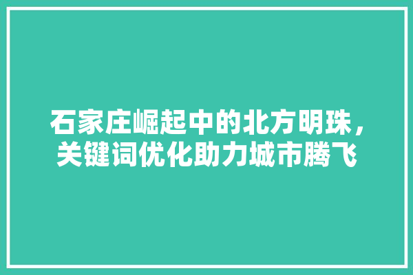 石家庄崛起中的北方明珠，关键词优化助力城市腾飞 计算机