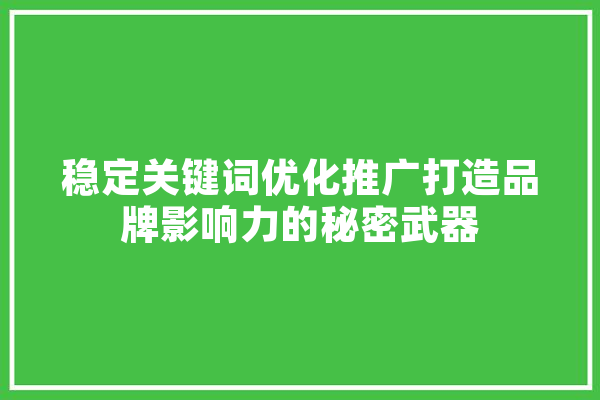 稳定关键词优化推广打造品牌影响力的秘密武器