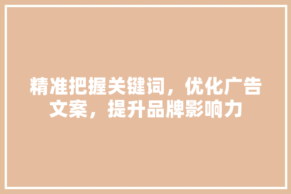 精准把握关键词，优化广告文案，提升品牌影响力
