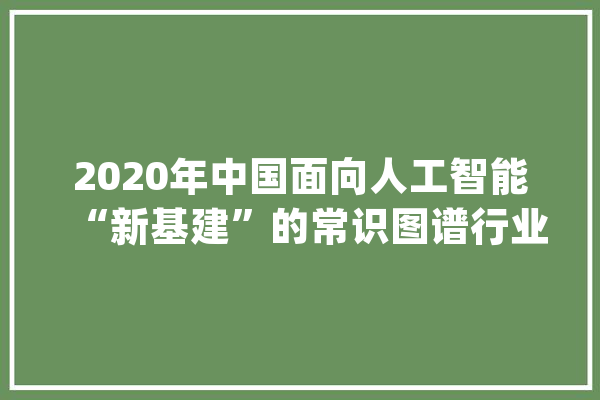 2020年中国面向人工智能“新基建”的常识图谱行业白皮书_常识_图谱 绘影字幕