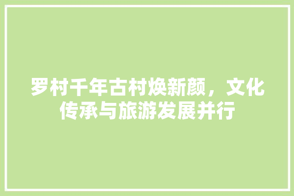 罗村千年古村焕新颜，文化传承与旅游发展并行