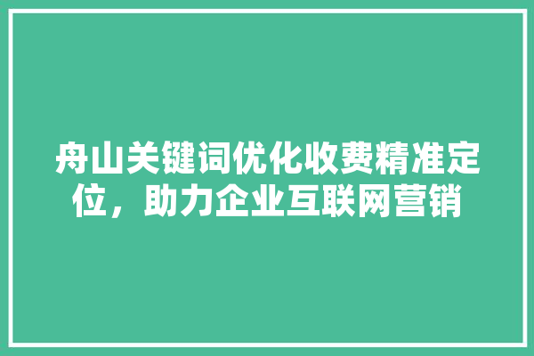 舟山关键词优化收费精准定位，助力企业互联网营销 绘影字幕