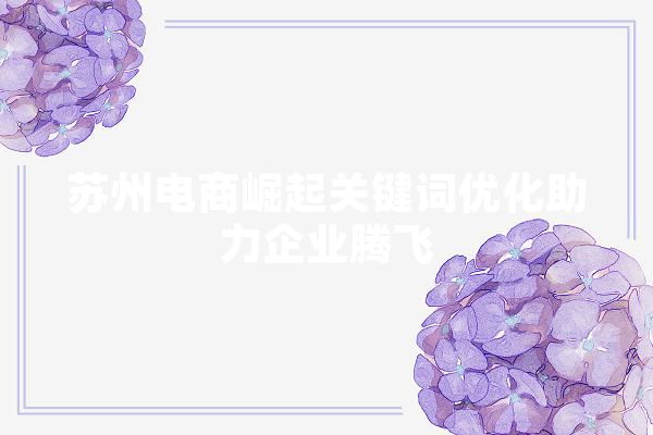 苏州电商崛起关键词优化助力企业腾飞