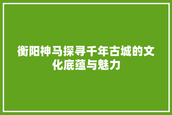 衡阳神马探寻千年古城的文化底蕴与魅力
