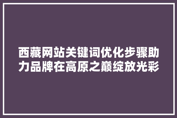 西藏网站关键词优化步骤助力品牌在高原之巅绽放光彩 智能助手