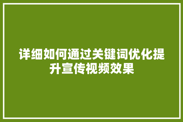 详细如何通过关键词优化提升宣传视频效果