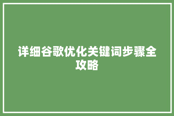详细谷歌优化关键词步骤全攻略