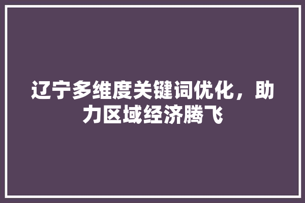 辽宁多维度关键词优化，助力区域经济腾飞