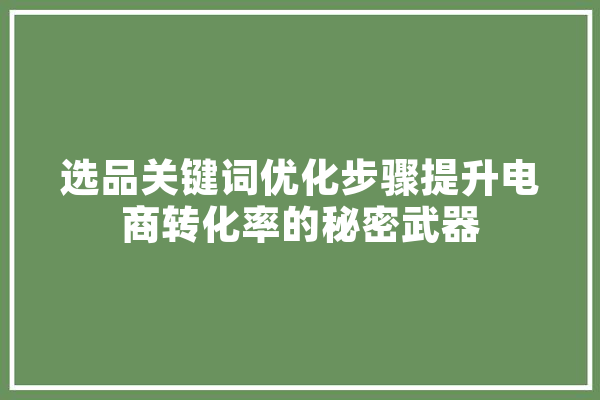 选品关键词优化步骤提升电商转化率的秘密武器