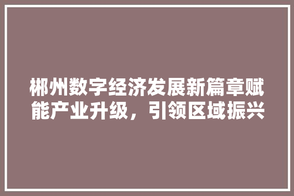 郴州数字经济发展新篇章赋能产业升级，引领区域振兴