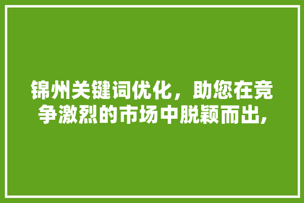 锦州关键词优化，助您在竞争激烈的市场中脱颖而出,优质服务提供商