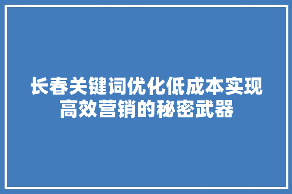 长春关键词优化低成本实现高效营销的秘密武器 智能写作