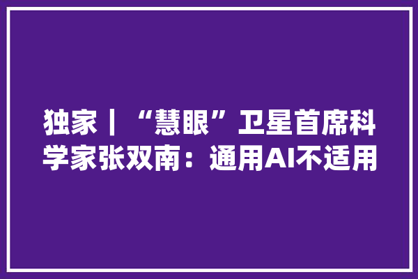 独家｜“慧眼”卫星首席科学家张双南：通用AI不适用于天文领域_人工智能_高能物理 文字写作