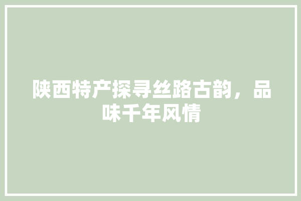 陕西特产探寻丝路古韵，品味千年风情