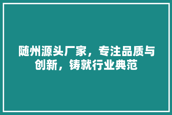 随州源头厂家，专注品质与创新，铸就行业典范 云服务