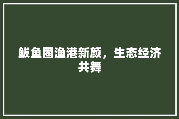 鲅鱼圈渔港新颜，生态经济共舞