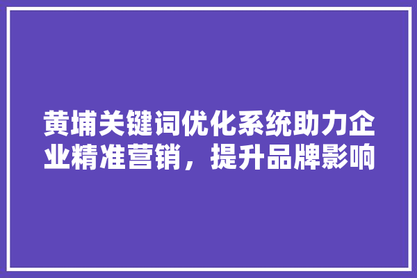 黄埔关键词优化系统助力企业精准营销，提升品牌影响力