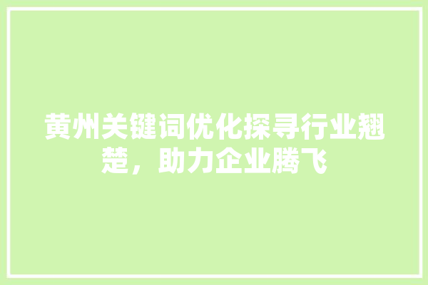 黄州关键词优化探寻行业翘楚，助力企业腾飞