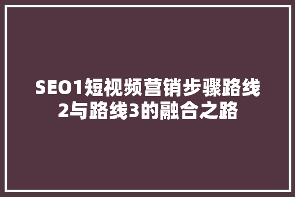 SEO1短视频营销步骤路线2与路线3的融合之路 计算机