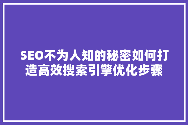 SEO不为人知的秘密如何打造高效搜索引擎优化步骤 计算机