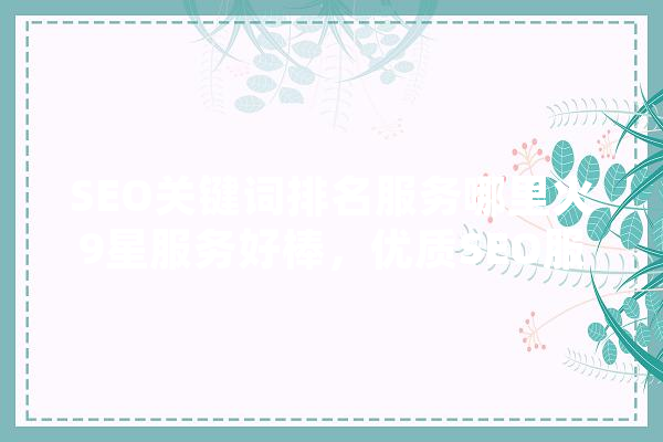 SEO关键词排名服务哪里火9星服务好棒，优质SEO服务的魅力