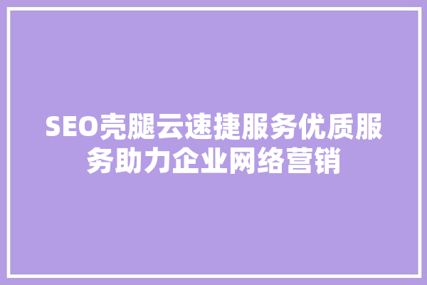 SEO壳腿云速捷服务优质服务助力企业网络营销 计算机