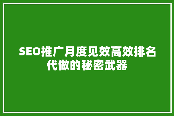 SEO推广月度见效高效排名代做的秘密武器