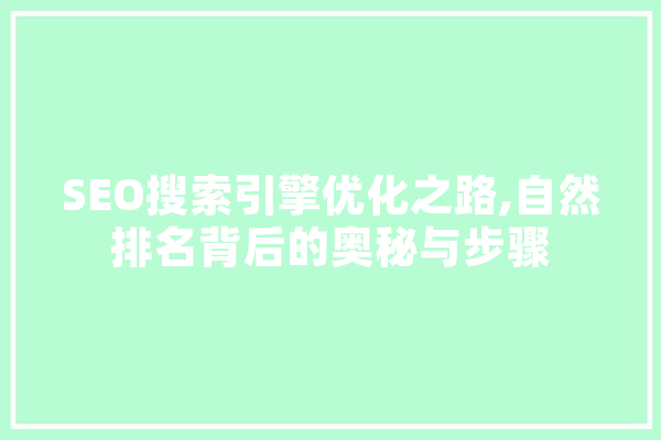 SEO搜索引擎优化之路,自然排名背后的奥秘与步骤 科技快讯