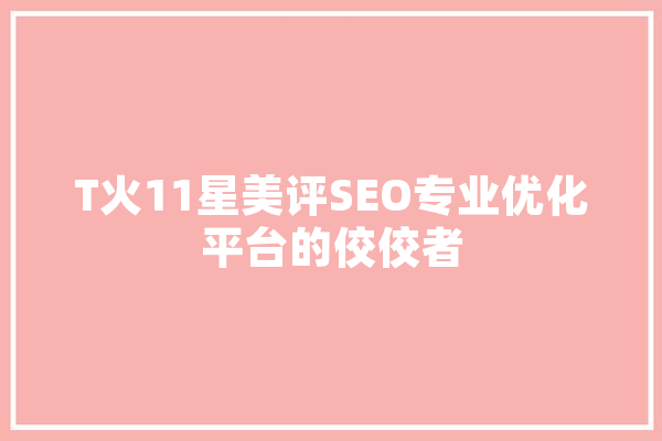 T火11星美评SEO专业优化平台的佼佼者