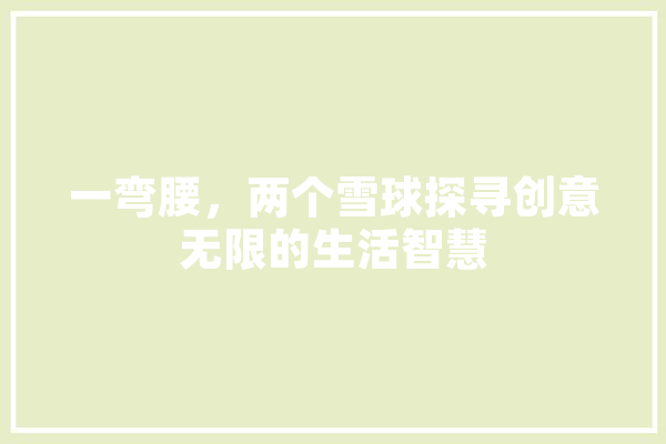 一弯腰，两个雪球探寻创意无限的生活智慧