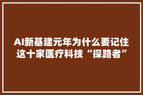 AI新基建元年为什么要记住这十家医疗科技“探路者”？_医疗_智能 云服务