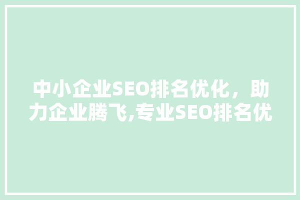 中小企业SEO排名优化，助力企业腾飞,专业SEO排名优化公司电话