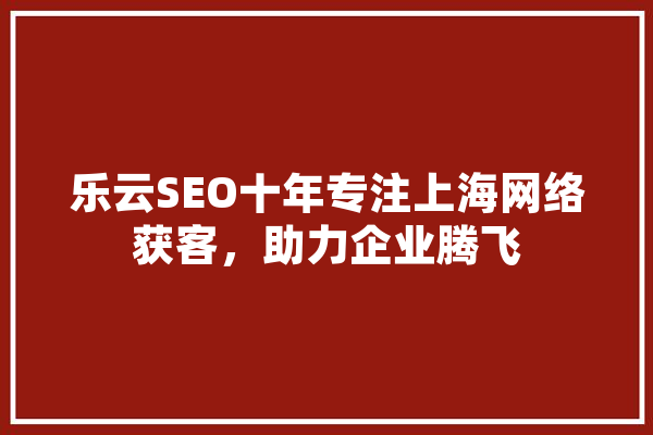 乐云SEO十年专注上海网络获客，助力企业腾飞 云服务